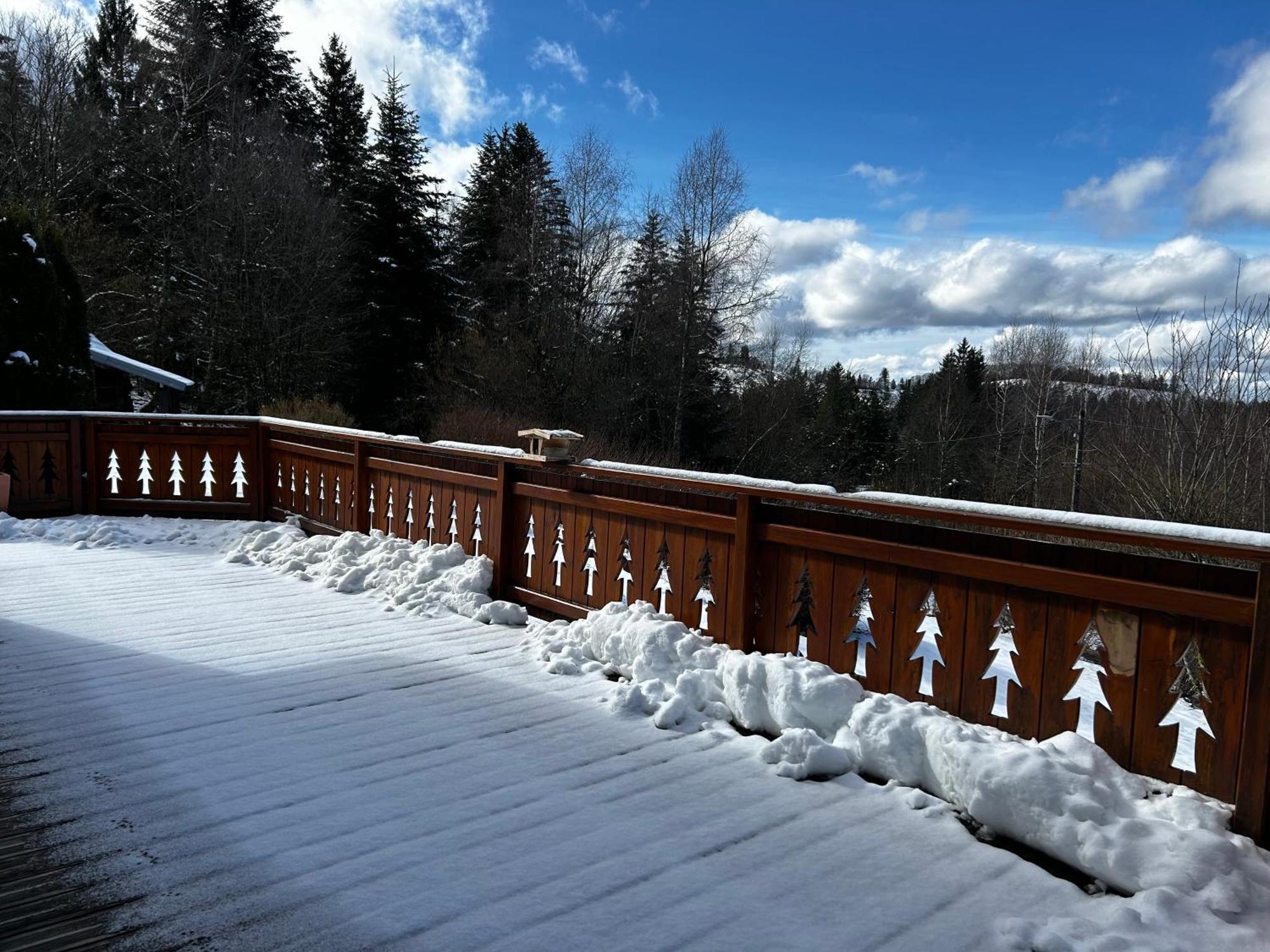 Belfahy Chalet Avec Jacuzzi Prive, Vue Sur Les Vosges מראה חיצוני תמונה